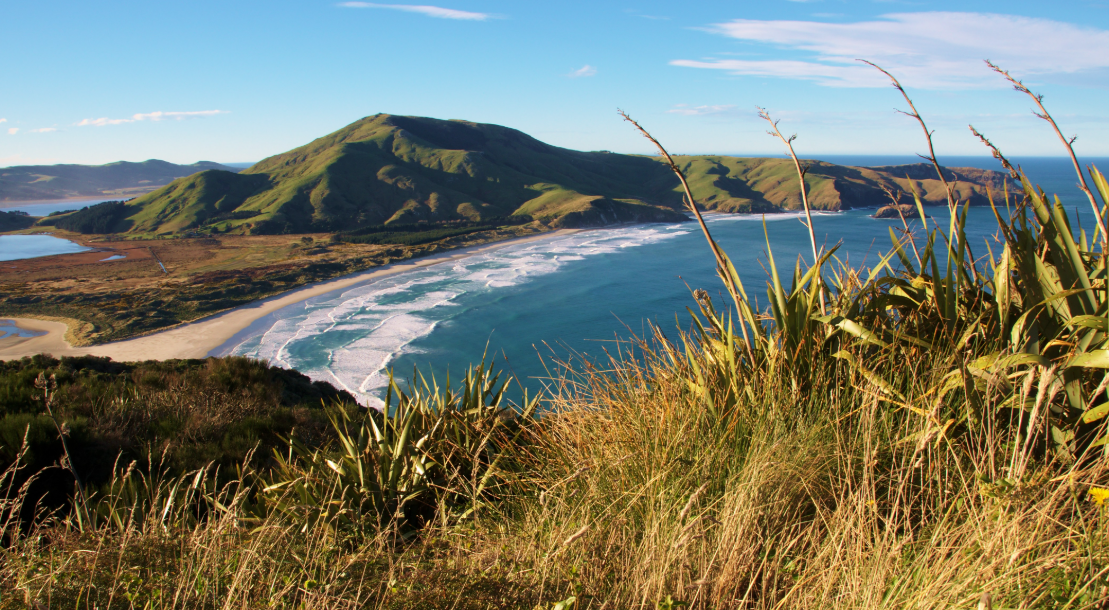 Allans Beach, , New Zealand